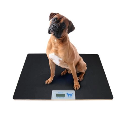 Весы для животных электронные (до 100 кг) Momert 6681