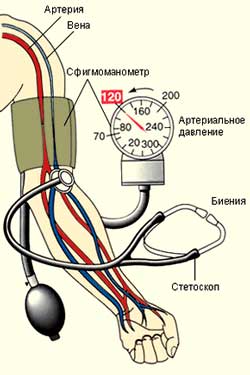 Как замерить давление механическим тонометром