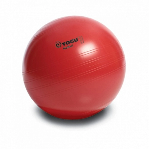 Мяч для тренировок POWERBALL ABS 65см